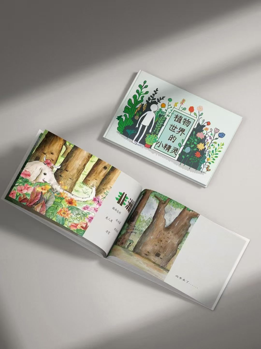 Picture book — printed cover & spread