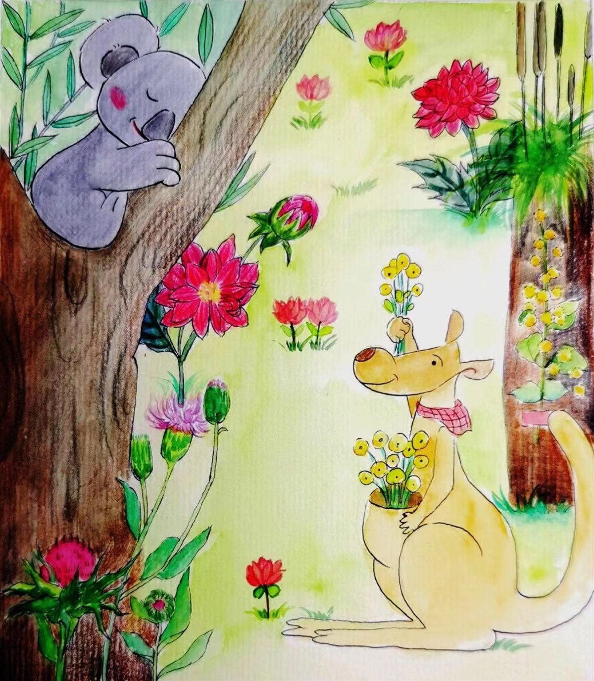 Koala and kangaroo